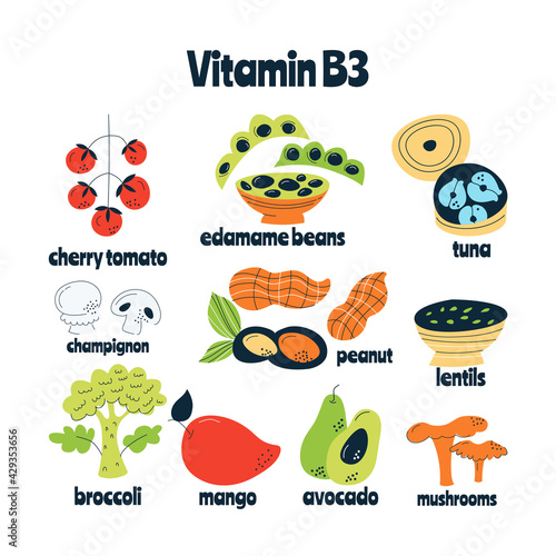 The main food sources of vitamin B3. Healthy food concept.