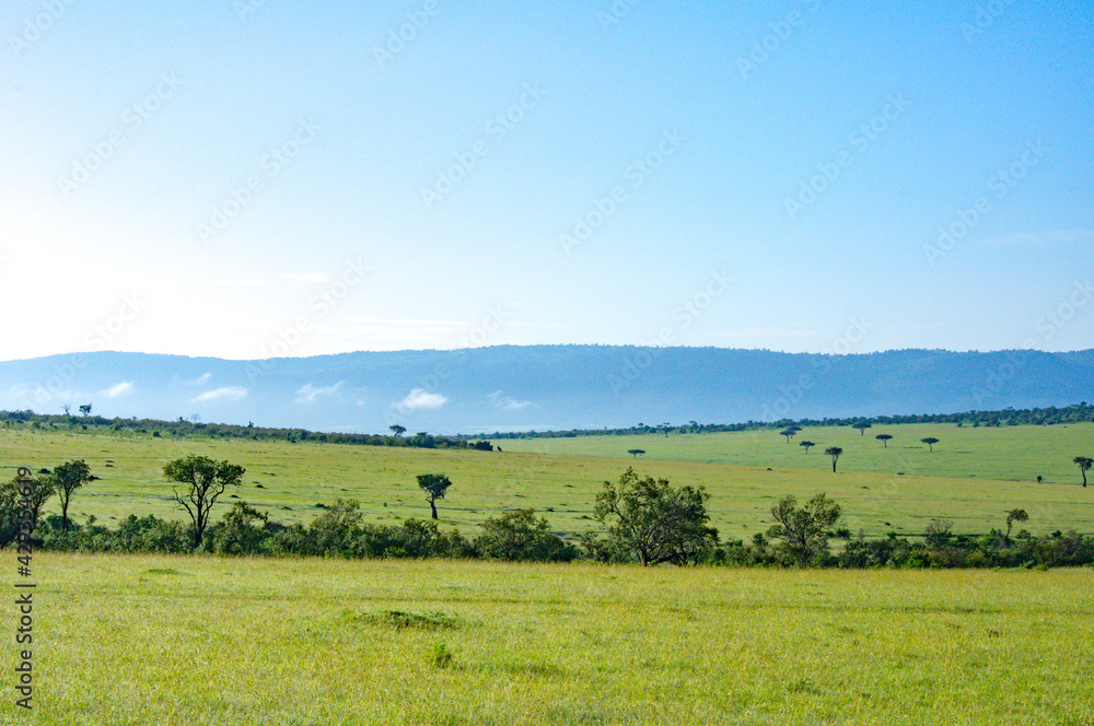 Landscape of Maasai Mara, Kenya,Africa Landscape of Maasai Mara, Kenya,Africa