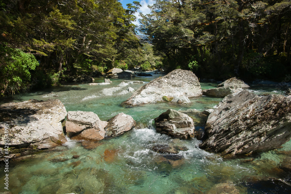 Forest stream flowing over rocky riverbed and through scenic forest Forest stream flowing over rocky riverbed and through scenic forest