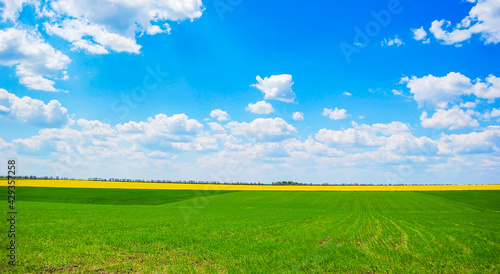 Foto Spring field and the blue sky