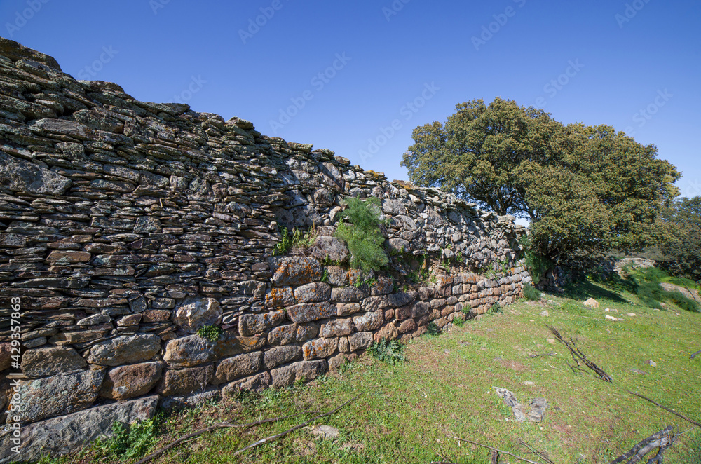 Tamusia archaeological site, Botija, Caceres, Extremadura
