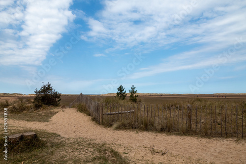 Fototapeta Naklejka Na Ścianę i Meble -  Walking on the beach in england, Holkland Beach North Sea
