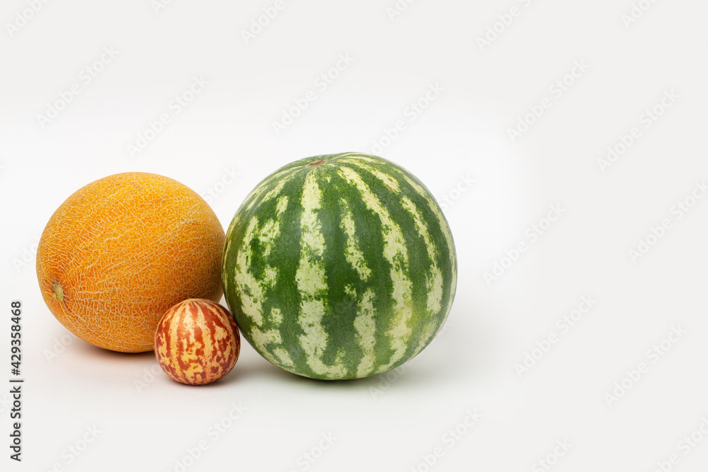 Watermelon and melon in studio Watermelon and melon in studio