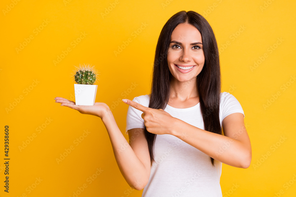 Photo portrait brunette holding succulent plant in white pot showing finger on pins isolated on bright yellow color background Photo portrait brunette holding succulent plant in white pot showing finger on pins isolated on bright yellow color background