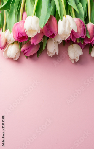 Fototapeta Naklejka Na Ścianę i Meble -  White and pink tulips on lightpink background.