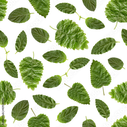 Mint seamless pattern background. Colorful print with mint leaves. © Марина Трунева