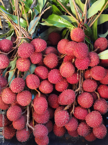 close up of fresh red lychee fruits for background