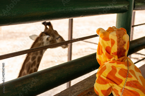 A cute Asian girl wearing a giraffe costume, Go on a trip in the zoo, Sitting and resting at the giraffe farm.