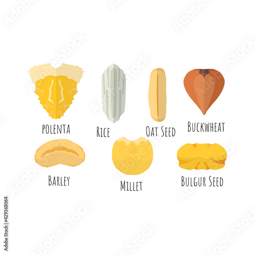 Seven types of the cereals in macro dimension