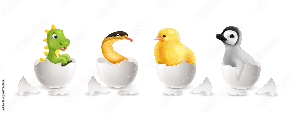 Naklejka premium Egg Isolated Set