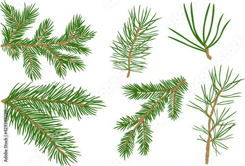 Set of collection of green natural forest pine, Christmas tree, needles branches of greenery, pine needles. Decorative winter seasonal editable, isolated art set. Vector graphics 