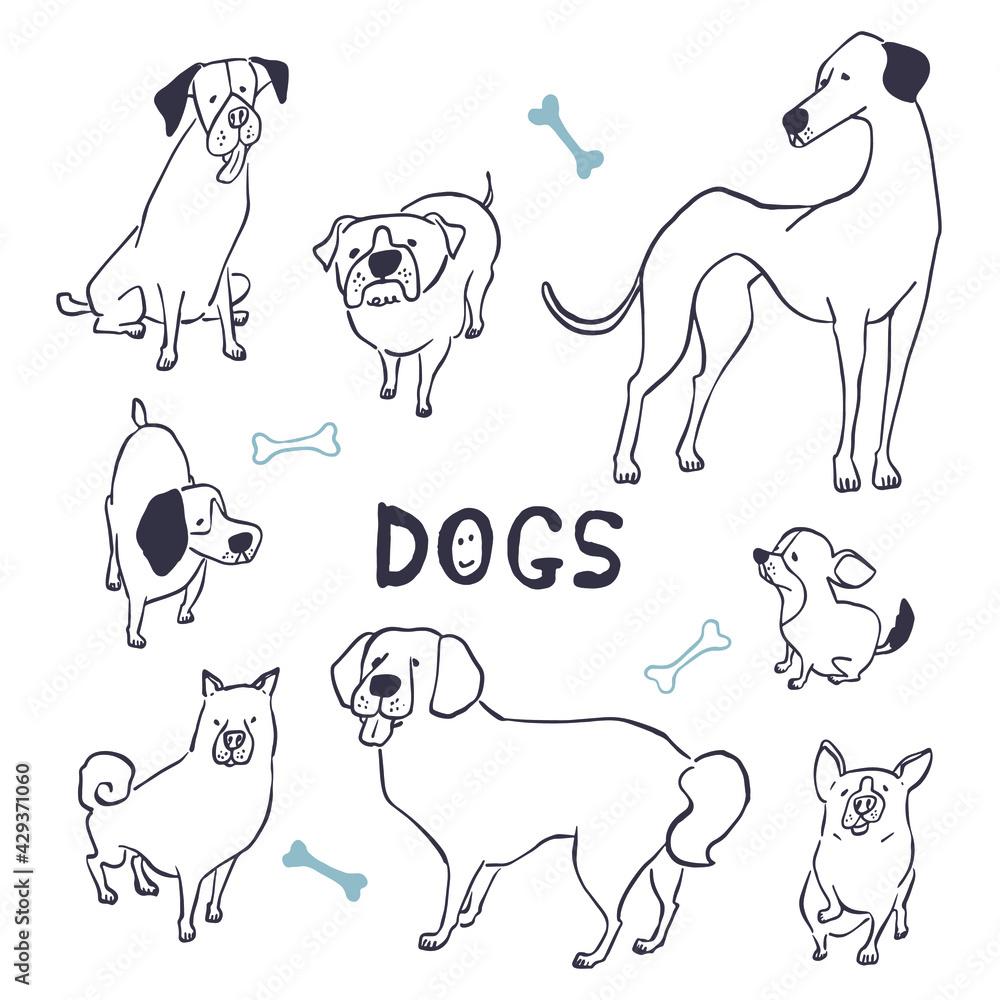 手描き風の犬のイラスト（Hand drawn dog illustration）