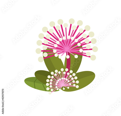 cartoon scene with isolated flowers illustration