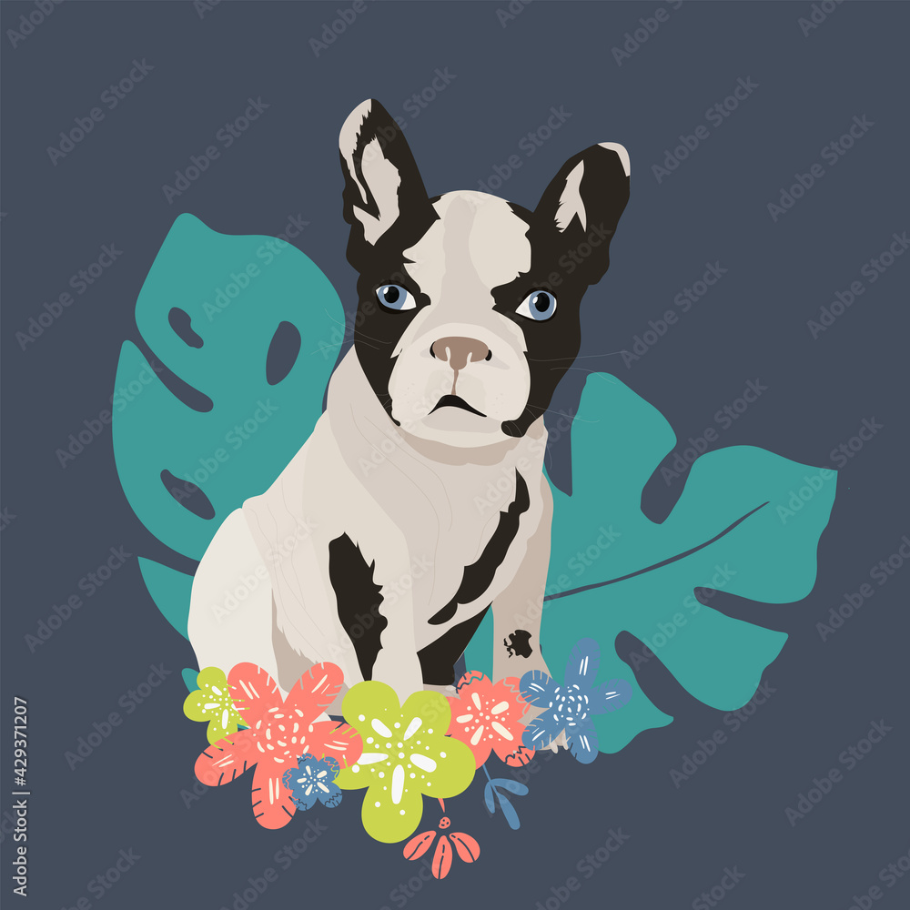 Naklejka premium Dog French Bulldog vector flat illustration on blue with flowers. hand drawing
