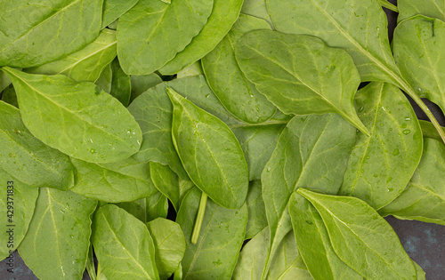 Close up of fresh green spinach