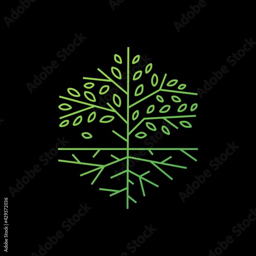 tree root hexagonal outline logo vector icon illustration