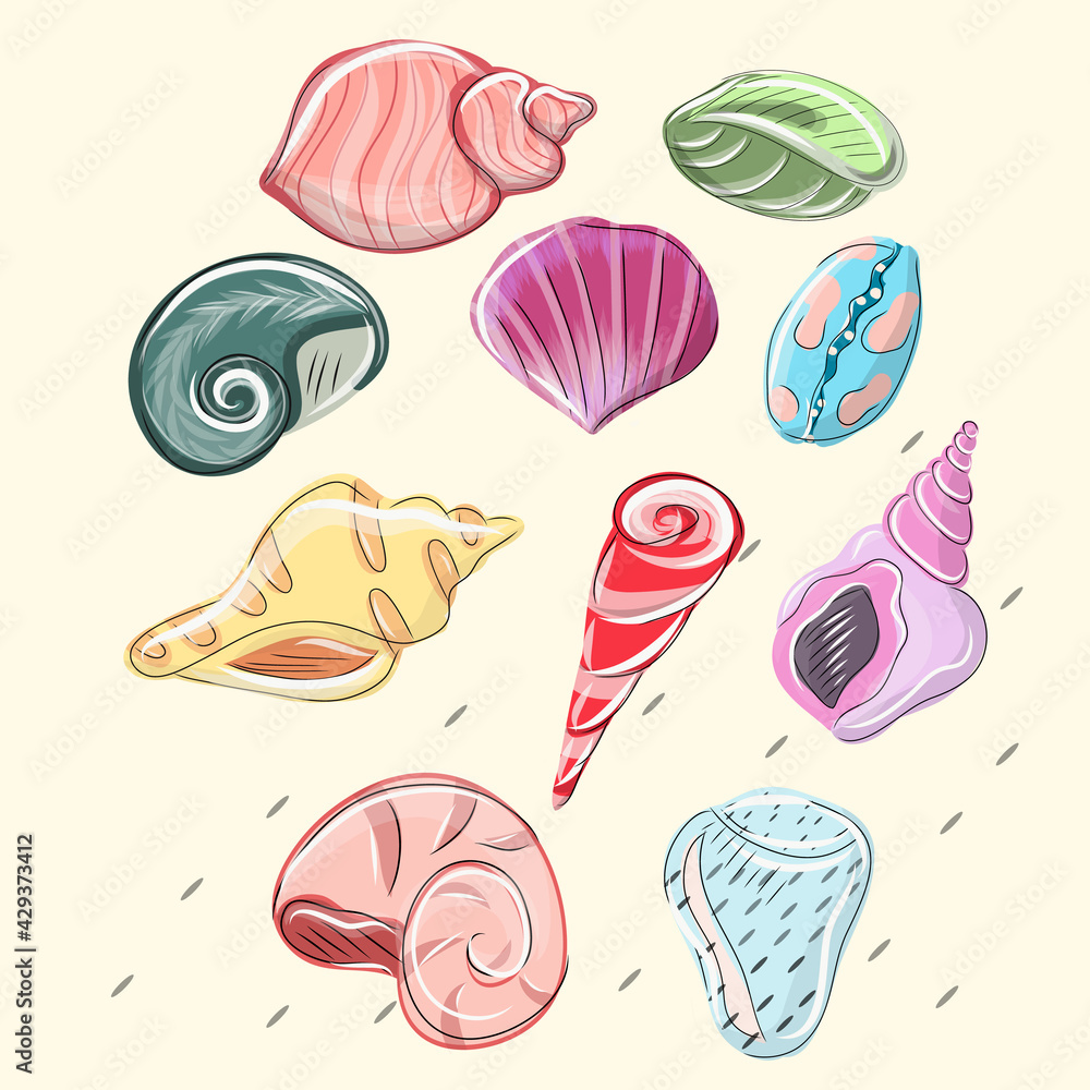 Watercolor set of seashells on white background for your menu or design. Summer beach sea shells, underwater, ocean reef tropical shells.