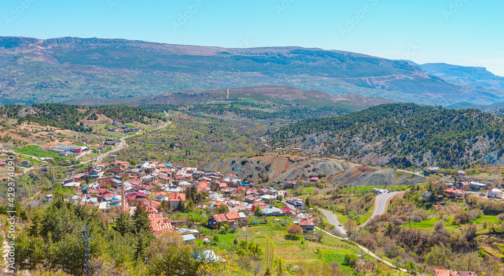 Old village houses in Anatolia, green grass field in the foreground 