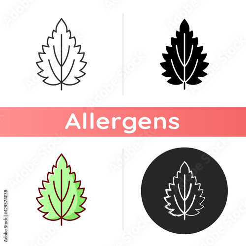 Nettle icon. Alternative medicine. Herbal ingredient for homeopathy. Common toxic allergen. Seasonal allergy for plant. Linear black and RGB color styles. Isolated vector illustrations