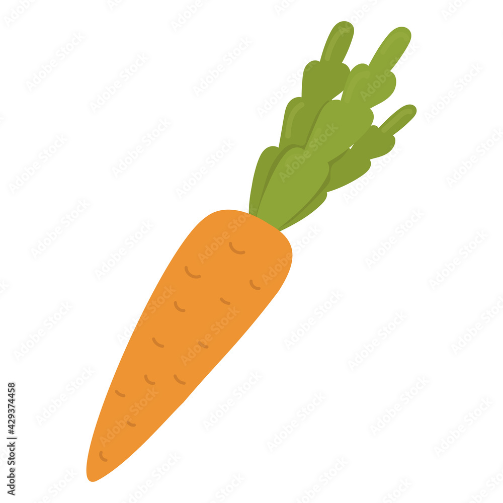 Cartoon carrot isolated on white background. Flat cartoon vector illustration. Isolated on white background. Vegan concept Cartoon carrot isolated on white background. Flat cartoon vector illustration. Isolated on white background. Vegan concept