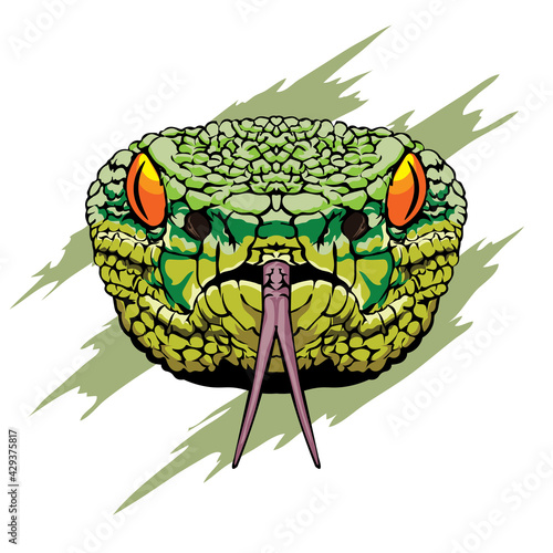 The venomous green snake's head, good for reptil  shop logo and tshirt design, also reptil lover club logo