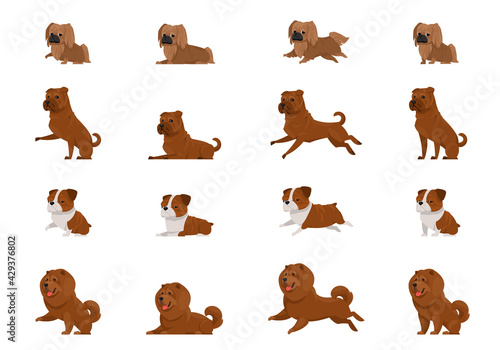 Set of dogs in different poses. Pekingese  Shar Pei  English Bulldog and Chow-Chow in cartoon style.