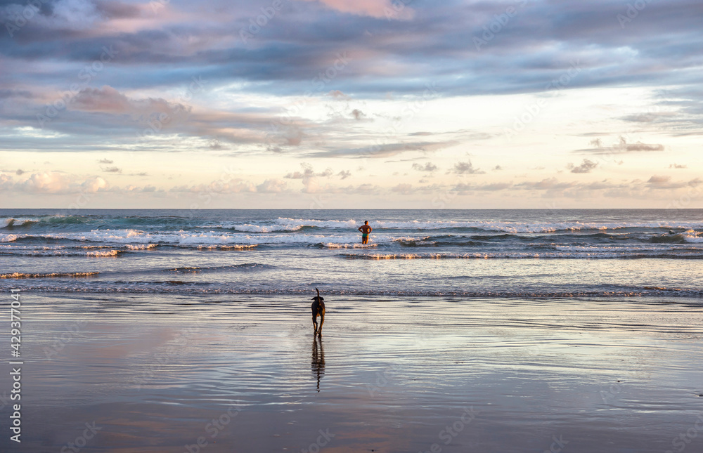 Beautiful sunset sky with dog  and swiming man on the beach in Matapalo, Costa Rica. Central America. Sky background on sunset. Tropical sea.