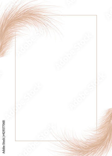 Frame of dried natural pampas grass. Floral ornament elements in boho style. Vector illustration of cortaderia selloana. New trendy home decor.
