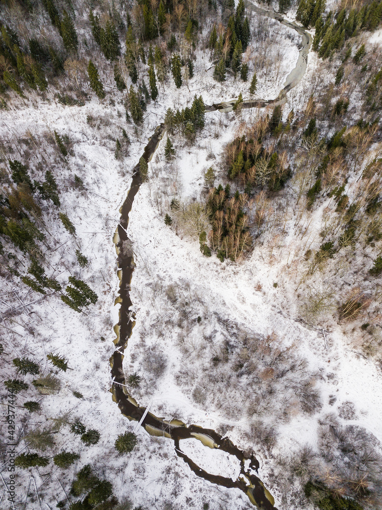 Obraz premium Aerial view of winding river, bridge, island and forest in Riezupe river nature park in winter day, Latvia. 
