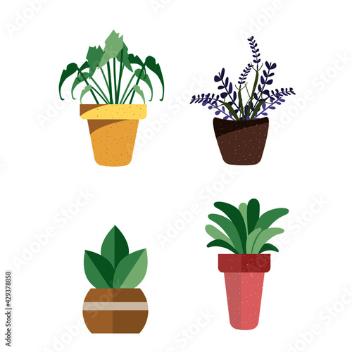 Plant for decorations on white background.