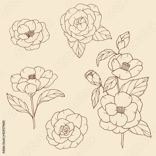 Stampa su tela Hand drawn collection of camellia flowers