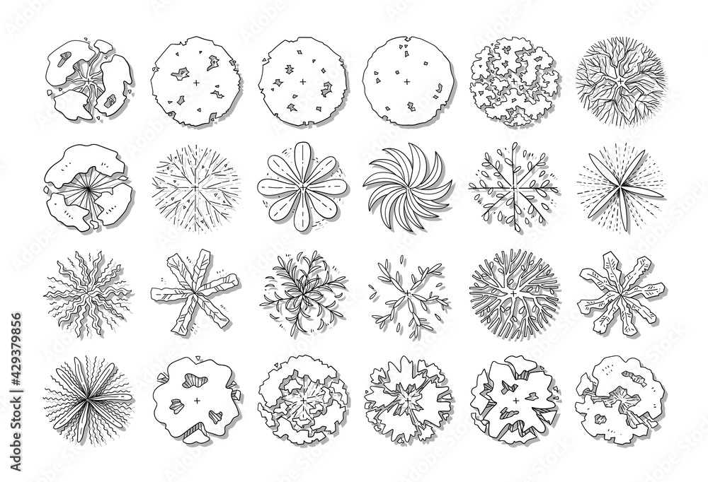hand drawn vector set of top view tree. hand drawn vector set of top view tree.