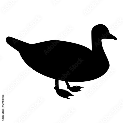 Silhouette duck male mallard bird waterbird waterfowl poultry fowl canard black color vector illustration flat style image