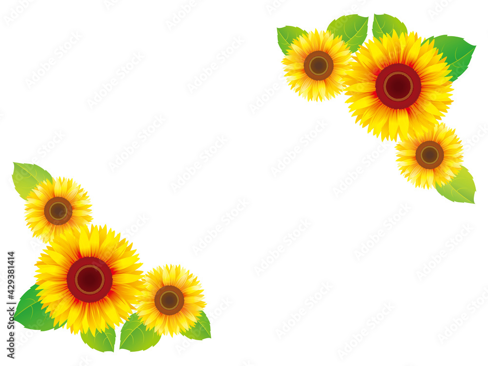 ひまわりの花と葉角フレームベクターイラスト素材 Stock ベクター Adobe Stock ひまわりの花と葉角フレームベクターイラスト素材 Stock ベクター Adobe Stock