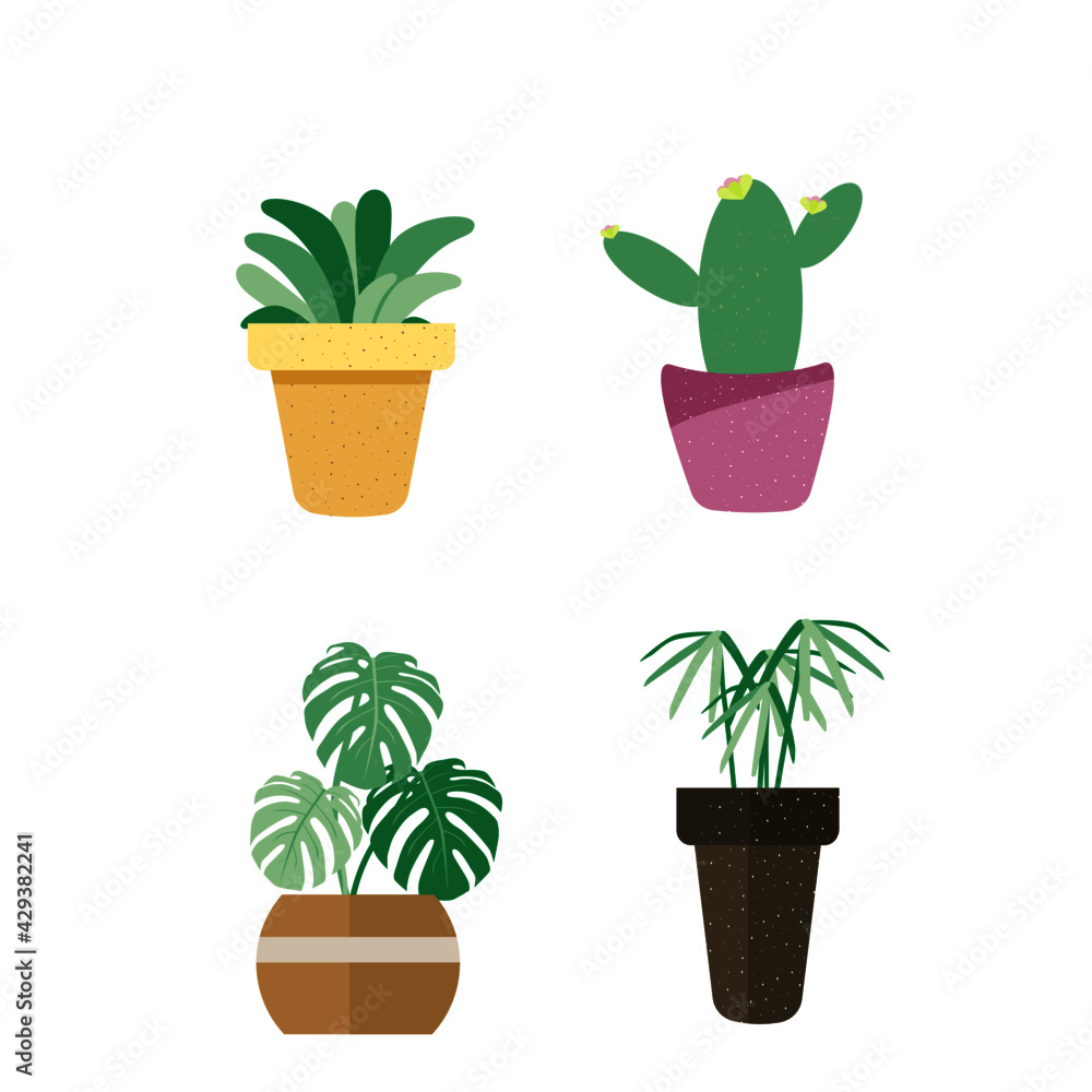 Plant for decorations on white background.