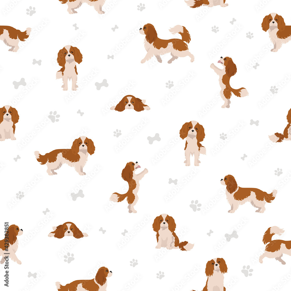 Cavalier King Charles spaniel seamless pattern.  Different poses, coat colors set. - obrazy, fototapety, plakaty 