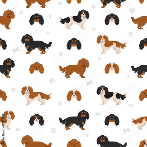 Cavalier King Charles spaniel seamless pattern.  Different poses, coat colors set.