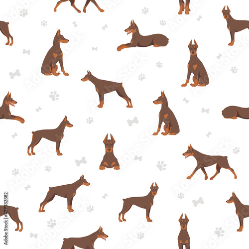 Doberman pinscher dogs seamless pattern. Different poses, coat colors set