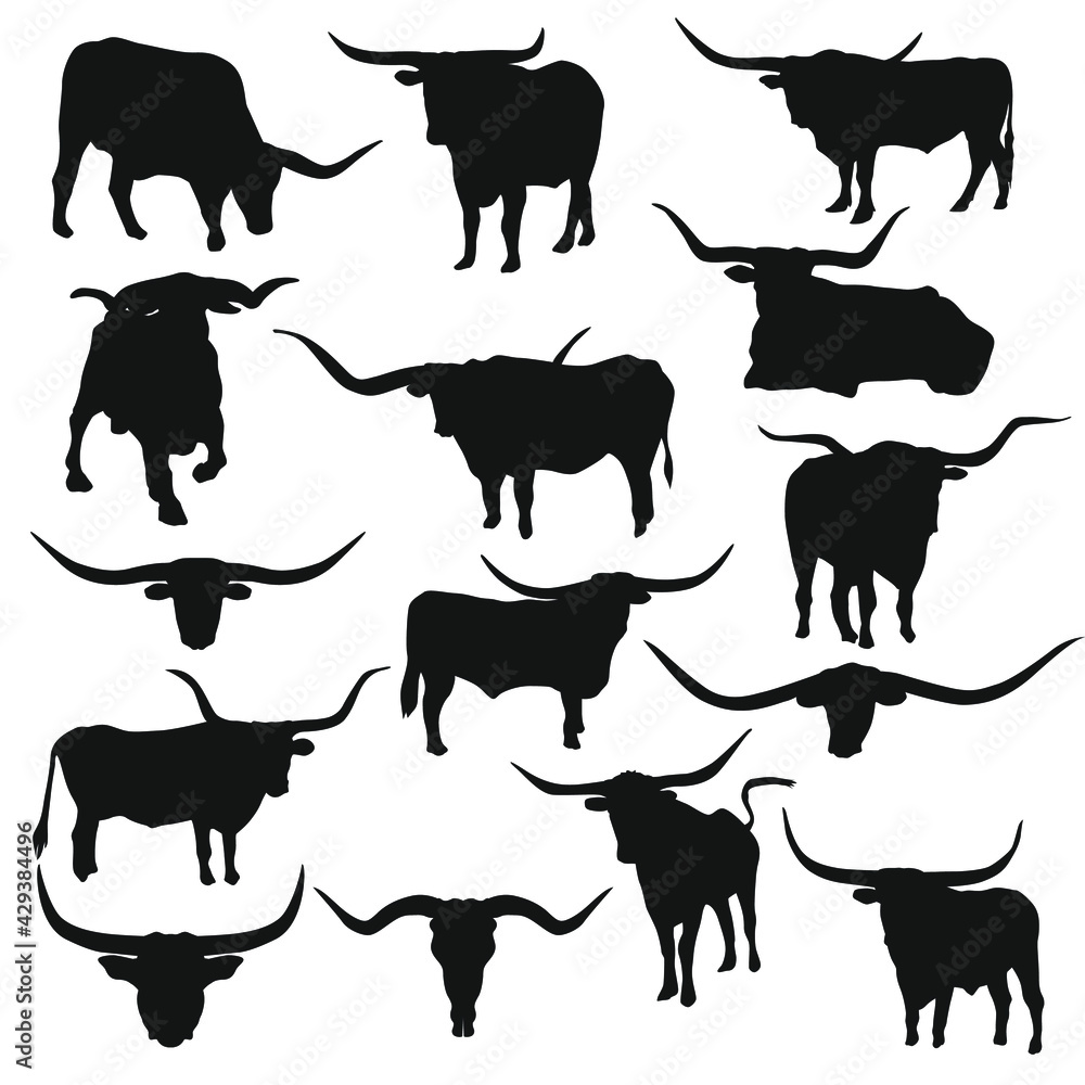 Longhorn Illustration Clip Art Design American Cattle. Collection ...