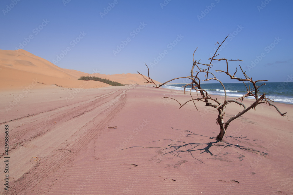 orange dunes and pink sand of the Sandwich Harbor Nature Reserve orange dunes and pink sand of the Sandwich Harbor Nature Reserve