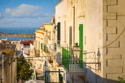 Canvas-taulu Picturesque facades and balconies in the old town of Vieste, Gargano, Italy