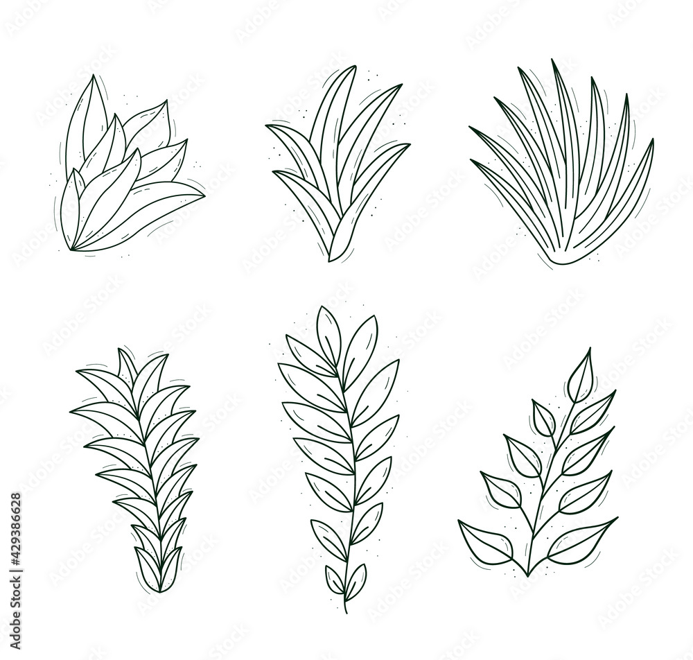 Fototapeta A set of plants similar to succulents, bushes with narrow leaves. Contour isolated objects on a white.