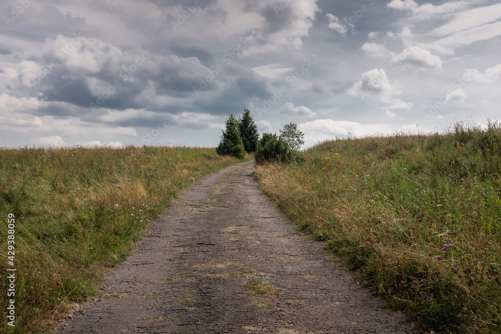 An empty, dirt road, Bieszczady National Park, Poland	
