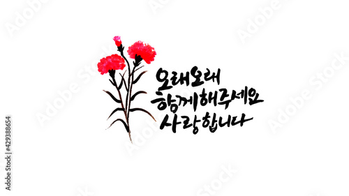 어버이날 카네이션(Mother's day carnation)