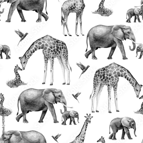 African animals are a seamless pattern. elephants and giraffes black and white