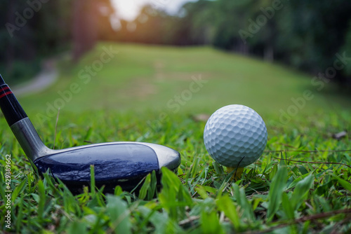 Golf balls and golf clubs on a green lawn in a beautiful golf course with morning sunshine.