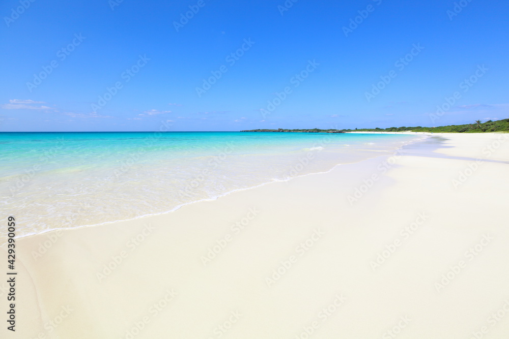 Fototapeta premium 白い砂浜と綺麗な海