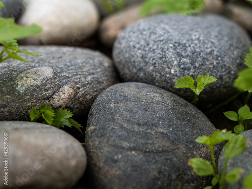 Canvas Print Granite rock stone, natural in nature. rocks and stones