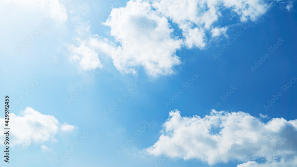 Fototapeta premium 青空・雲