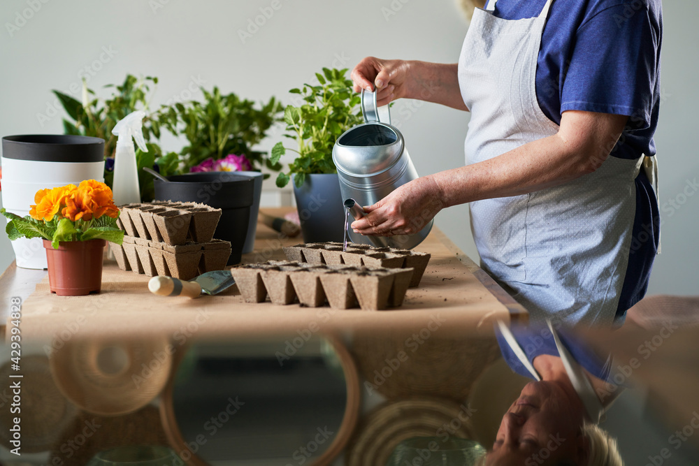 Woman watering the seeds she just planted in seedling trays